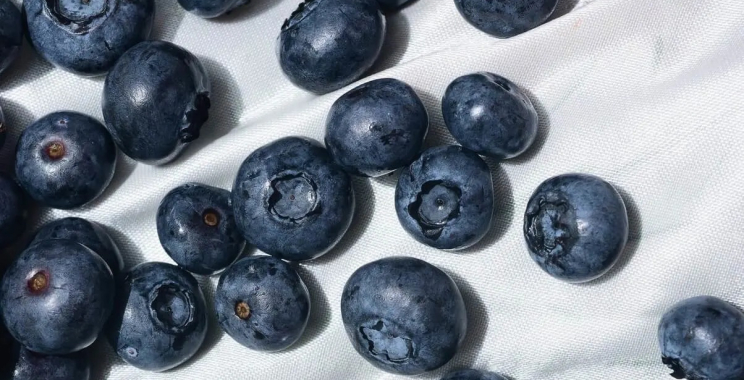 Zone Nicotine Pouches | Calipouch