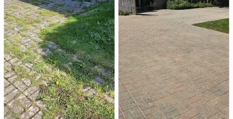 Professional Moss Removal for Your Roof – Safe, Thorough & Reliable