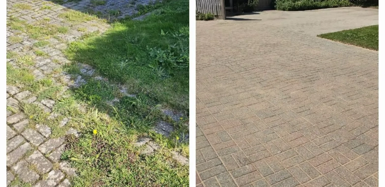 Professional Moss Removal for Your Roof – Safe, Thorough & Reliable