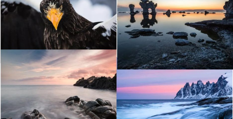 Skapa oförglömliga bilder på våräventyret – boka din fotosmart resa