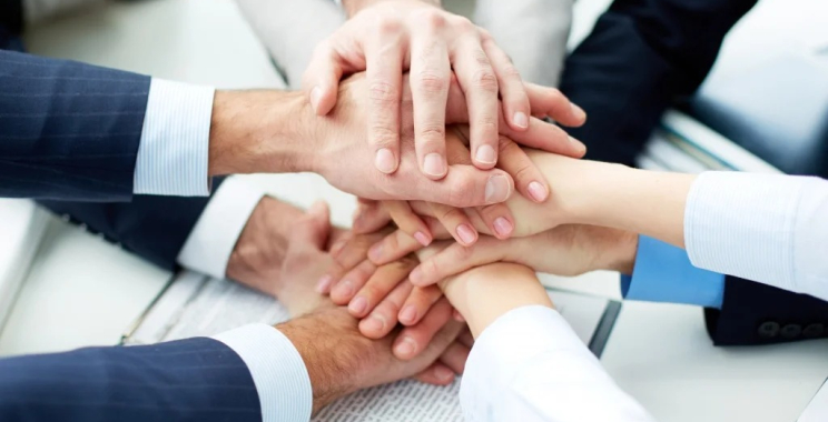 Enhance RO Water Quality with Essential Minerals for Your Plant