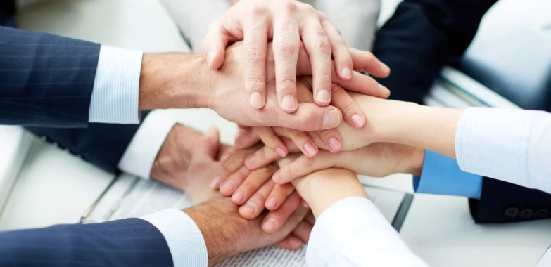 Enhance RO Water Quality with Essential Minerals for Your Plant