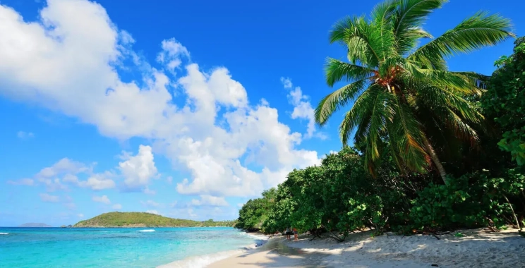 Affordable Hawaii Car Rentals for Every Budget