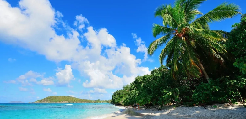 Affordable Hawaii Car Rentals for Every Budget