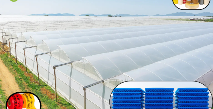 Durable PP Straps for Secure Bundling and Cargo in the UAE