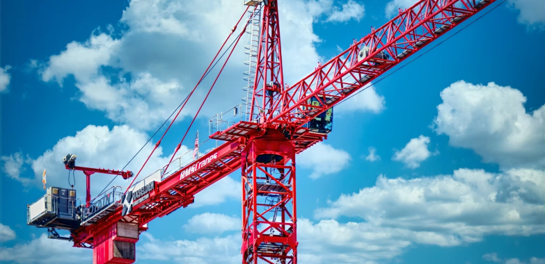 Professional Tower Crane Dismantling Services for India Projects
