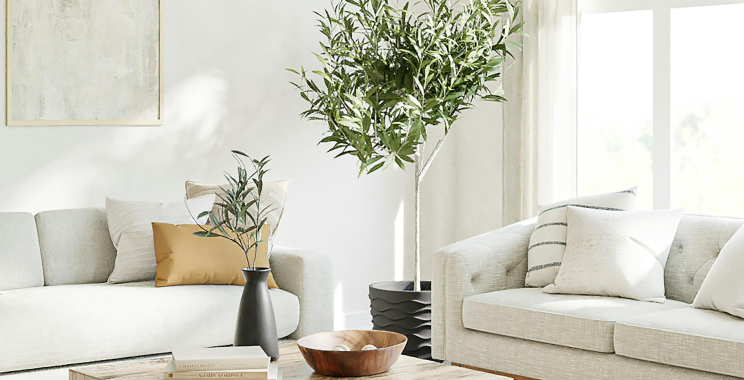 Trusted Okanagan rental property management for landlords