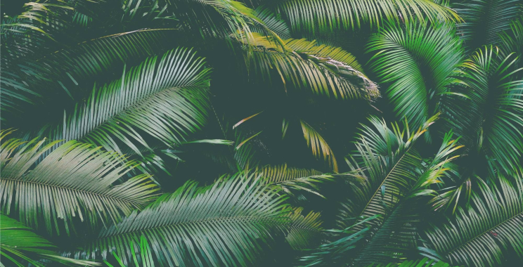 Urgent HVAC Support When You Need It Most