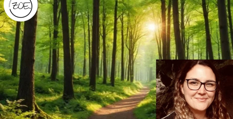 Guide to Supervision for Therapists: Deepen Practice and Reflective Growth