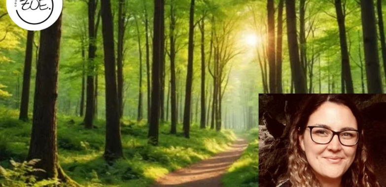 Guide to Supervision for Therapists: Deepen Practice and Reflective Growth