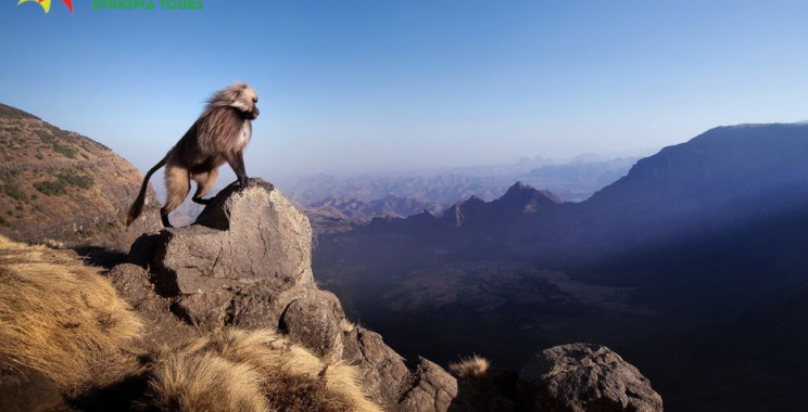 Explore Ethiopia: Hidden Gems and Iconic Landmarks