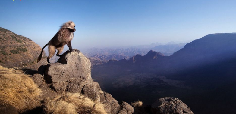 Explore Ethiopia: Hidden Gems and Iconic Landmarks