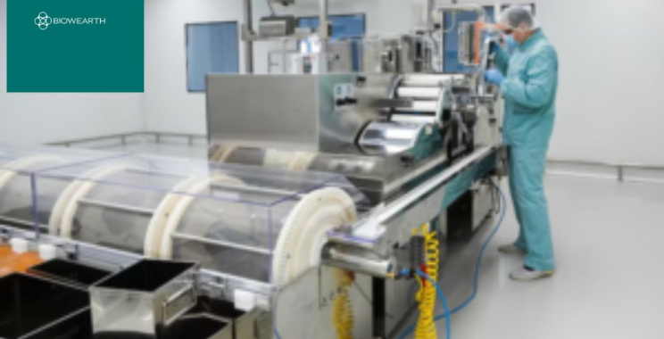 Top Gummies Production Partners in India for Brands