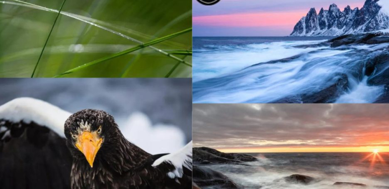 Lär dig fotografering med våra populära kurser