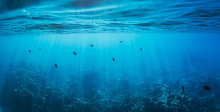 Overcome Fear at the Dentist: Practical Techniques for Calm Visits