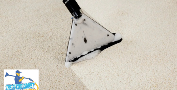 Transform Your Home with Perth’s Premier Carpet Cleaning Service