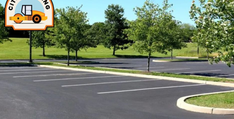 Premium Paving Solutions in the Sunshine State