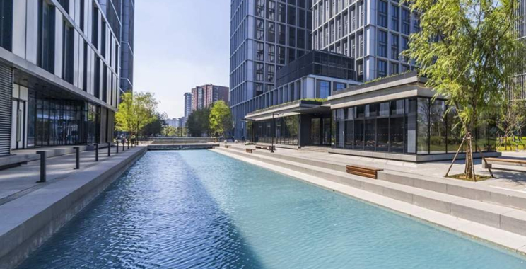 Affordable full-arch dental solutions you can trust