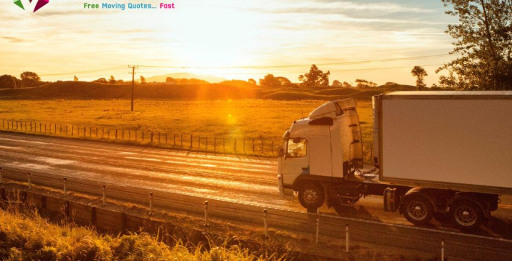 Move with Confidence: Trusted Local Movers for Your Next Relocation