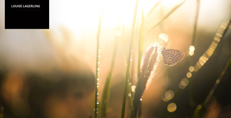 Sök trygg terapi i Östermalmsområdet – hitta stöd nära dig