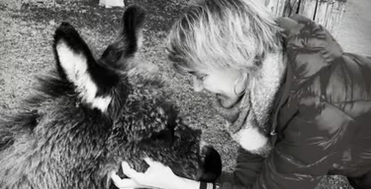 Verhaltensspektrum bei Hunden erkennen und unterstützen