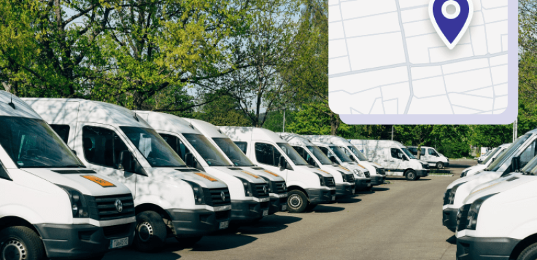 Premium Vehicle Cleaning in New South Wales, Australia