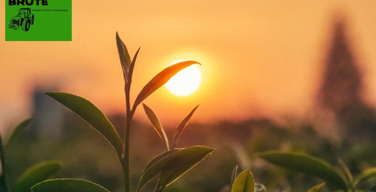 Durable Farm Equipment for Efficient Harvesting