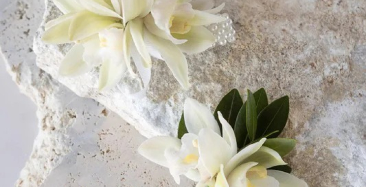 Elegant Auckland Florals for Every Occasion