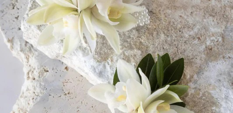 Elegant Auckland Florals for Every Occasion