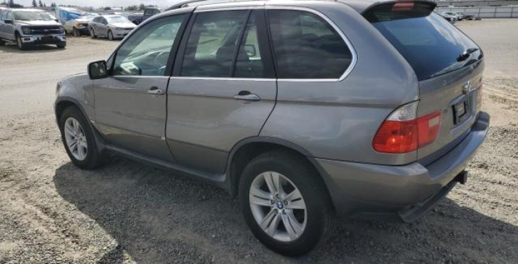 Hidden Gems from U.S. Auctions: Bid with Confidence