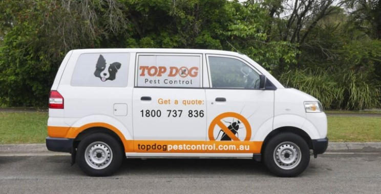 Trusted Pest Control Services for Homes on the Gold Coast