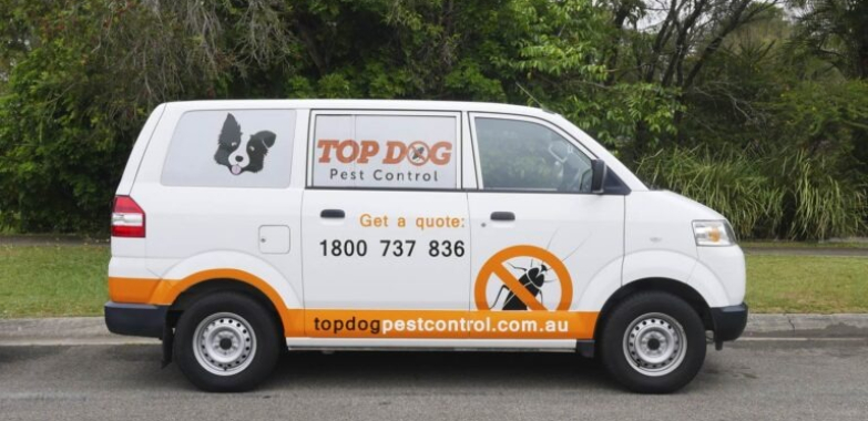 Trusted Pest Control Services for Homes on the Gold Coast