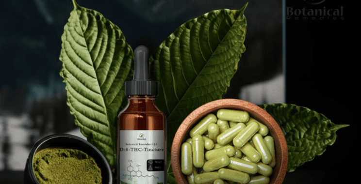 Premium Kratom Extracts Online — Shop Quality, Trusted Brands
