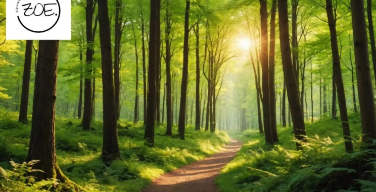 Embrace Flexible Therapy Approaches for Lasting Well-being