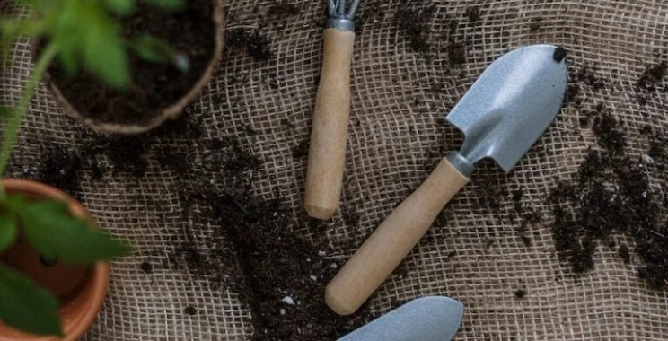 Top Local Yard Care Services to Keep Your Outdoor Space Pristine