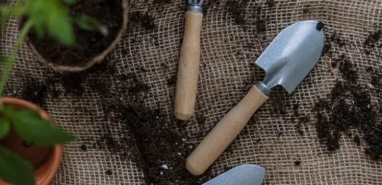 Top Local Yard Care Services to Keep Your Outdoor Space Pristine