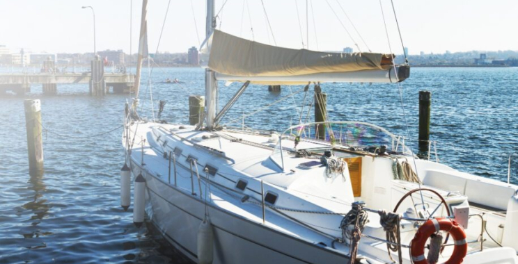 Dubai Angling Adventures: A Memorable Day on the Water