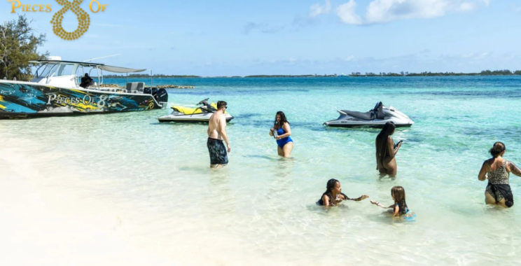 Bahamas Beach Pigs: A Squealing Sunrise Experience