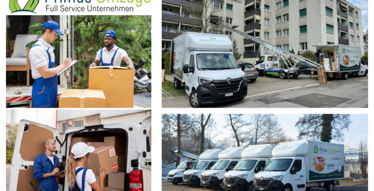Perfekte Endreinigung nach dem Umzug in Zollikon – zuverlässig und gründlich