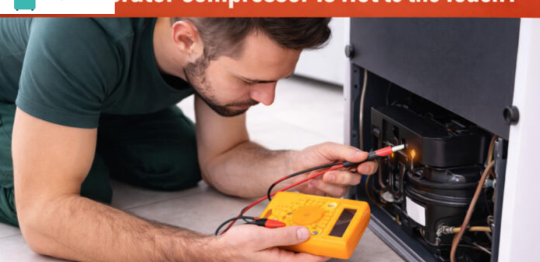 Restore fridge seal: a practical gasket replacement guide
