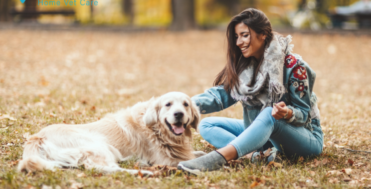 Compassionate In-Home Euthanasia in Calgary for Your Pet