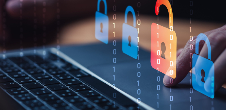 Protect Your Business Identity with Comprehensive Protection Solutions