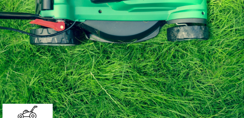 Professional trim garden services in Bristol | Local Experts