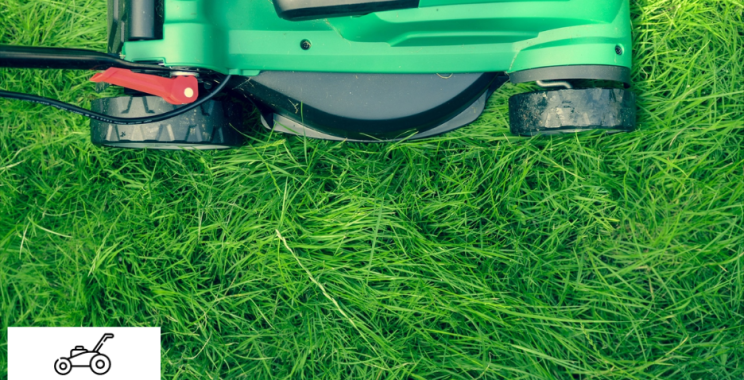 Professional trim garden services in Bristol | Local experts
