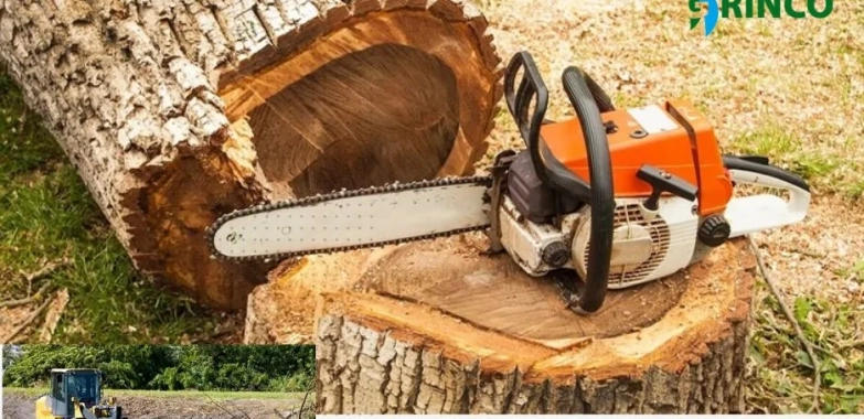 Professional Tree Removal Altona Services for Safe and Efficient Land Clearing