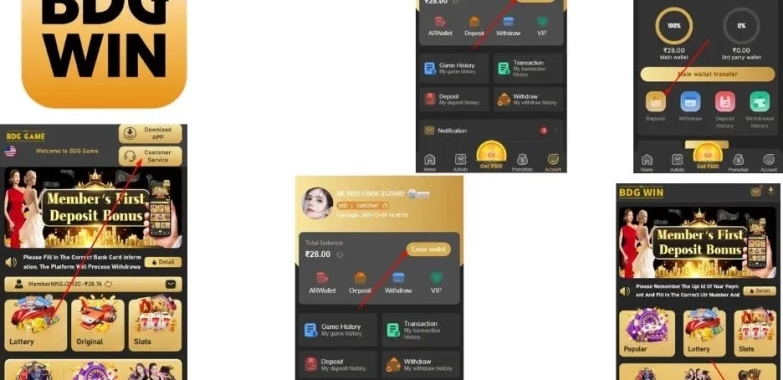 Online Colour Prediction: Key Platform Benefits and Helpful Resources at BDG Win 365
