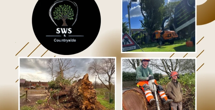 Professional Vegetation Clearance Maidstone for Safe and Clean Outdoor Spaces