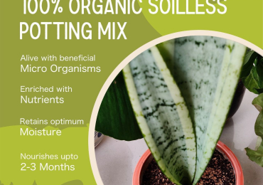 best potting mix for plants