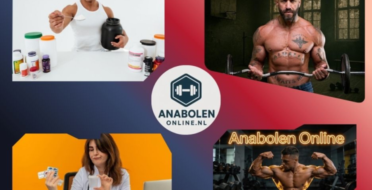 High-Quality Peptide Options for Recovery and Performance