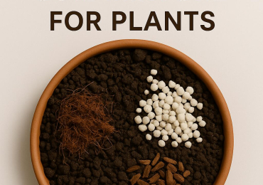 soil for plants online | Keltech Energies